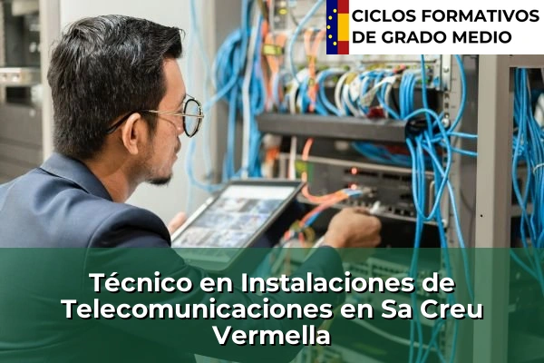 Técnico en Instalaciones de Telecomunicaciones en Sa Creu Vermella