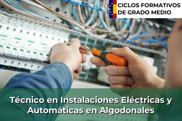 Técnico en Instalaciones Eléctricas y Automáticas en Algodonales