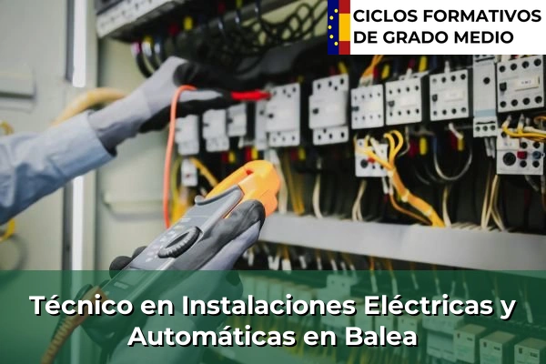 Técnico en Instalaciones Eléctricas y Automáticas en Balea