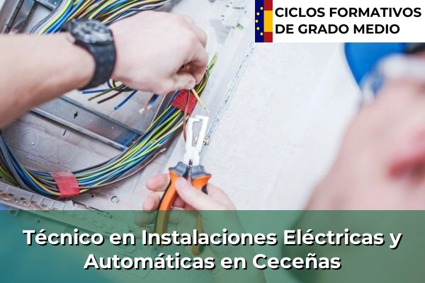 Técnico en Instalaciones Eléctricas y Automáticas en Ceceñas