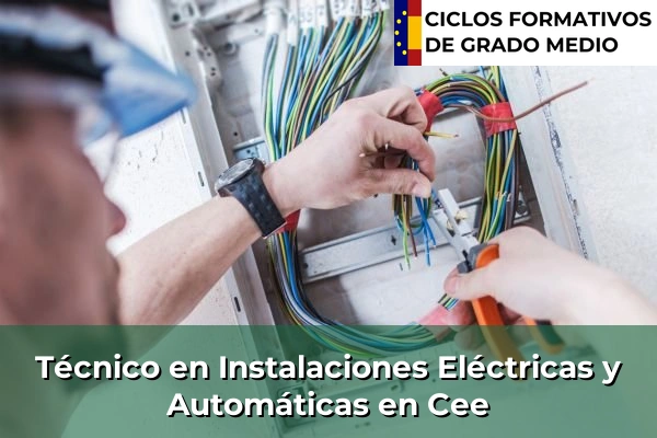 Técnico en Instalaciones Eléctricas y Automáticas en Cee