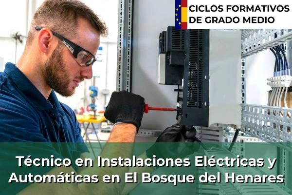Técnico en Instalaciones Eléctricas y Automáticas en El Bosque del Henares