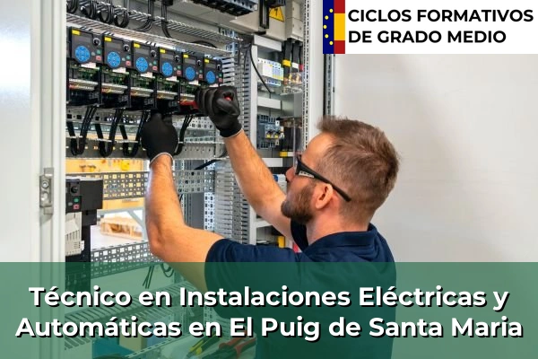 Técnico en Instalaciones Eléctricas y Automáticas en El Puig de Santa Maria