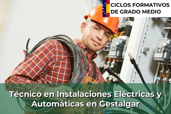 Técnico en Instalaciones Eléctricas y Automáticas en Gestalgar