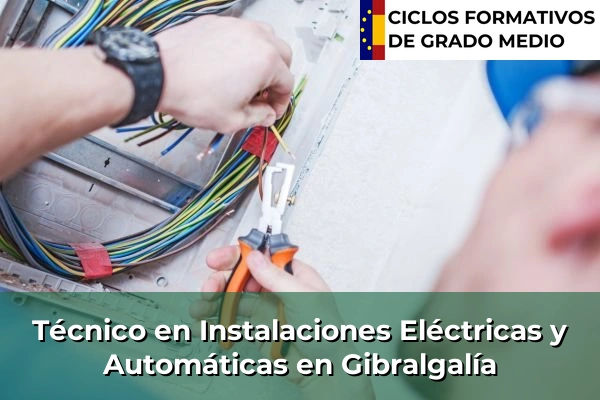 Técnico en Instalaciones Eléctricas y Automáticas en Gibralgalía