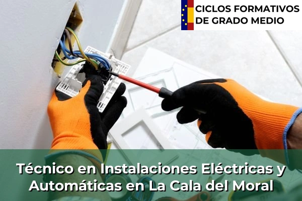 Técnico en Instalaciones Eléctricas y Automáticas en La Cala del Moral