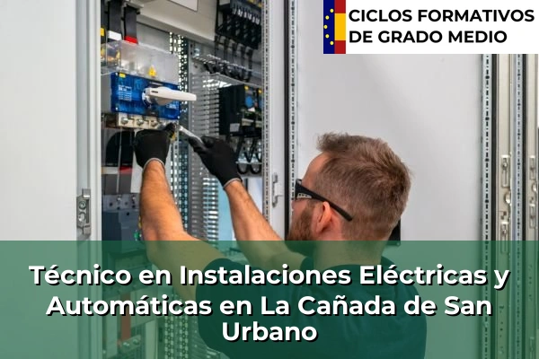 Técnico en Instalaciones Eléctricas y Automáticas en La Cañada de San Urbano