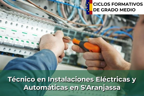 Técnico en Instalaciones Eléctricas y Automáticas en S'Aranjassa