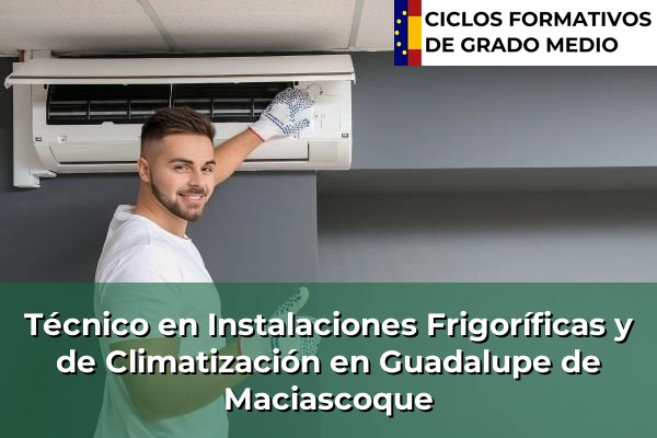Técnico en Instalaciones Frigoríficas y de Climatización en Guadalupe de Maciascoque