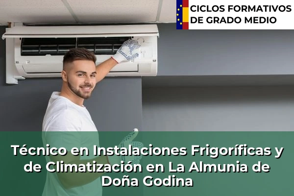 Técnico en Instalaciones Frigoríficas y de Climatización en La Almunia de Doña Godina