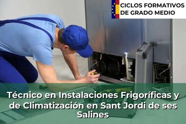 Técnico en Instalaciones Frigoríficas y de Climatización en Sant Jordi de ses Salines