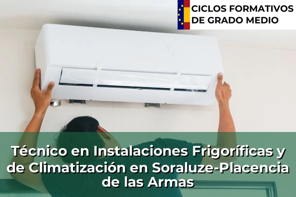 Técnico en Instalaciones Frigoríficas y de Climatización en Soraluze-Placencia de las Armas