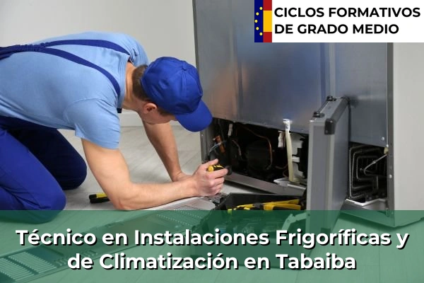 Técnico en Instalaciones Frigoríficas y de Climatización en Tabaiba