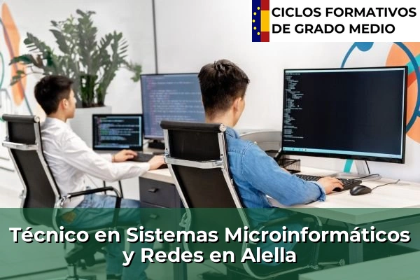 Técnico en Sistemas Microinformáticos y Redes en Alella