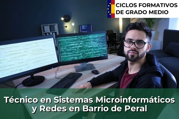 Técnico en Sistemas Microinformáticos y Redes en Barrio de Peral
