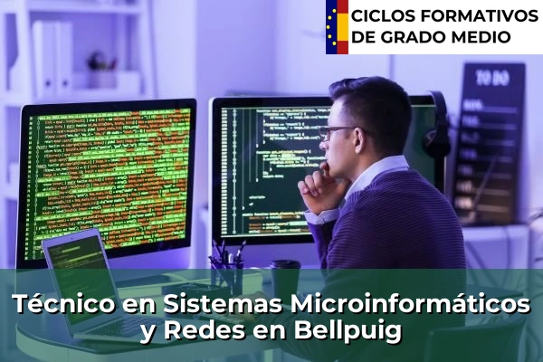 Técnico en Sistemas Microinformáticos y Redes en Bellpuig