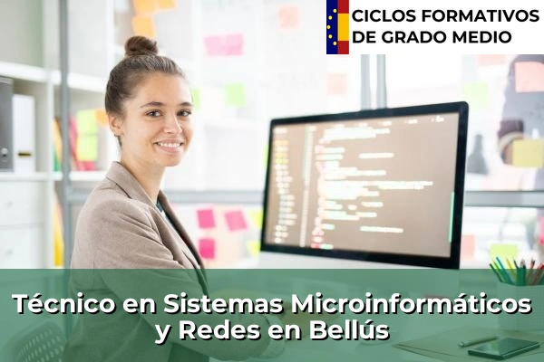 Técnico en Sistemas Microinformáticos y Redes en Bellús