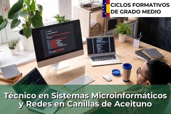 Técnico en Sistemas Microinformáticos y Redes en Canillas de Aceituno