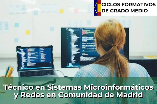 Técnico en Sistemas Microinformáticos y Redes en Comunidad de Madrid