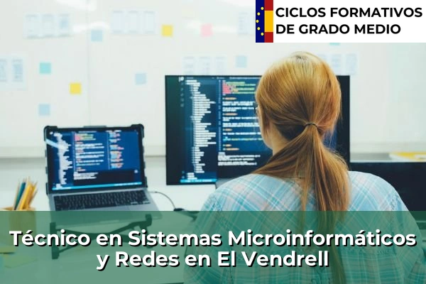 Técnico en Sistemas Microinformáticos y Redes en El Vendrell
