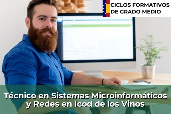 Técnico en Sistemas Microinformáticos y Redes en Aldea Blanca 78 Técnico en Sistemas Microinformáticos y Redes en Icod de los Vinos