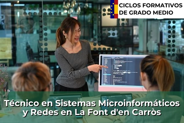 Técnico en Sistemas Microinformáticos y Redes en La Font d'en Carròs