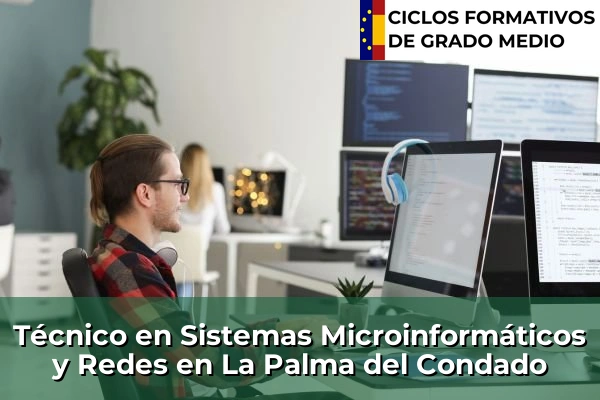 Técnico en Sistemas Microinformáticos y Redes en La Palma del Condado