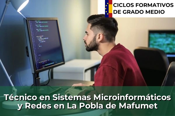 Técnico en Sistemas Microinformáticos y Redes en La Pobla de Mafumet