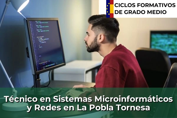 Técnico en Sistemas Microinformáticos y Redes en La Pobla Tornesa