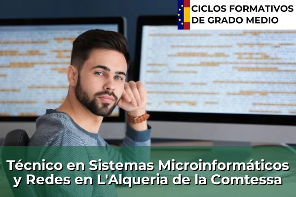 Técnico en Sistemas Microinformáticos y Redes en L'Alqueria de la Comtessa