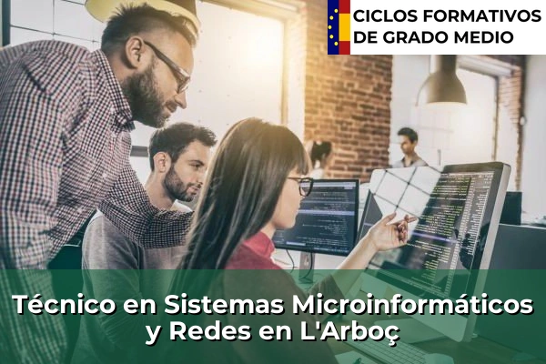 Técnico en Sistemas Microinformáticos y Redes en L'Arboç
