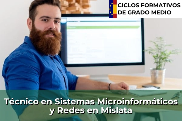Técnico en Sistemas Microinformáticos y Redes en Mislata