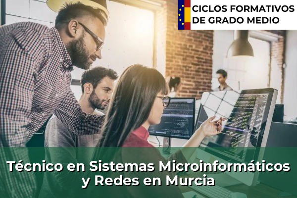 Técnico en Sistemas Microinformáticos y Redes en Murcia
