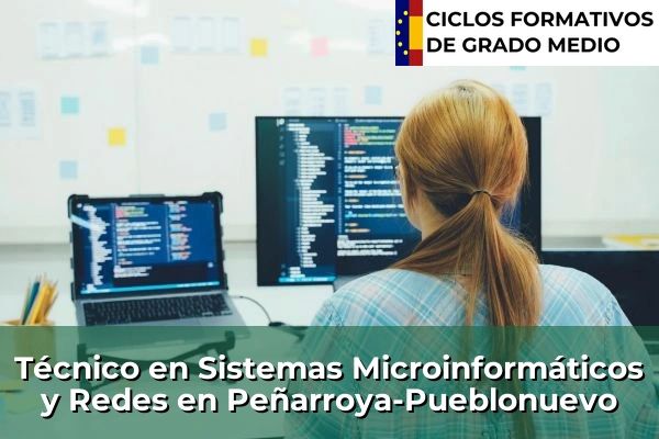 Técnico en Sistemas Microinformáticos y Redes en Peñarroya-Pueblonuevo