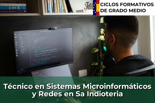 Técnico en Sistemas Microinformáticos y Redes en Sa Indioteria