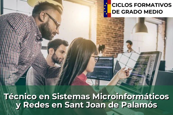 Técnico en Sistemas Microinformáticos y Redes en Sant Joan de Palamós