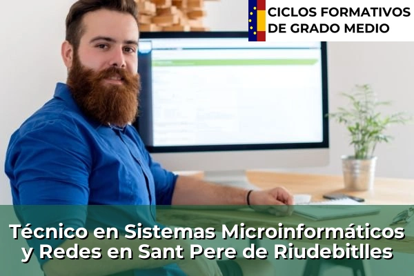 Técnico en Sistemas Microinformáticos y Redes en Sant Pere de Riudebitlles