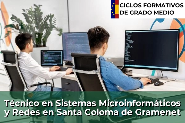 Técnico en Sistemas Microinformáticos y Redes en Santa Coloma de Gramenet