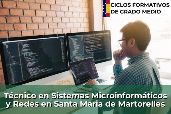 Técnico en Sistemas Microinformáticos y Redes en Santa Maria de Martorelles